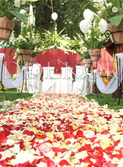 Teppich aus Blumenblättern in einer Zeremonie im Freien